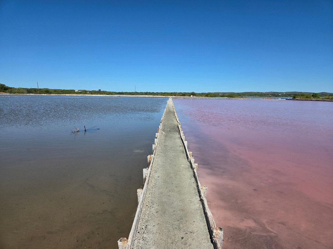 Salinas de Cabo Rojo-Cabo Rojo必去景点
