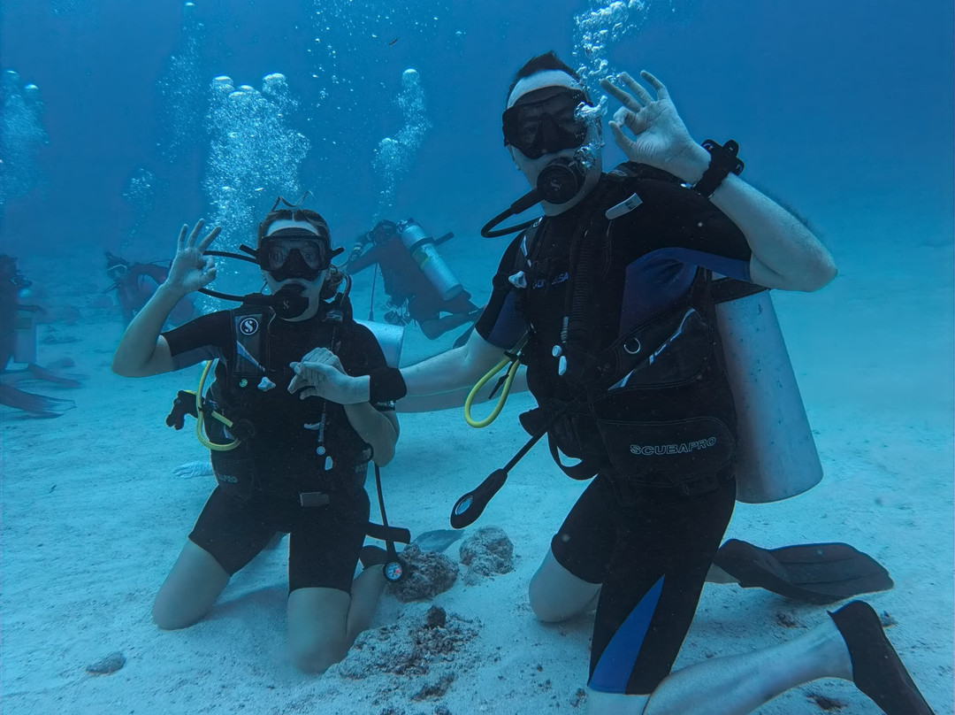 Jerrys Dive Club Rasdhoo-拉斯胡必去景点