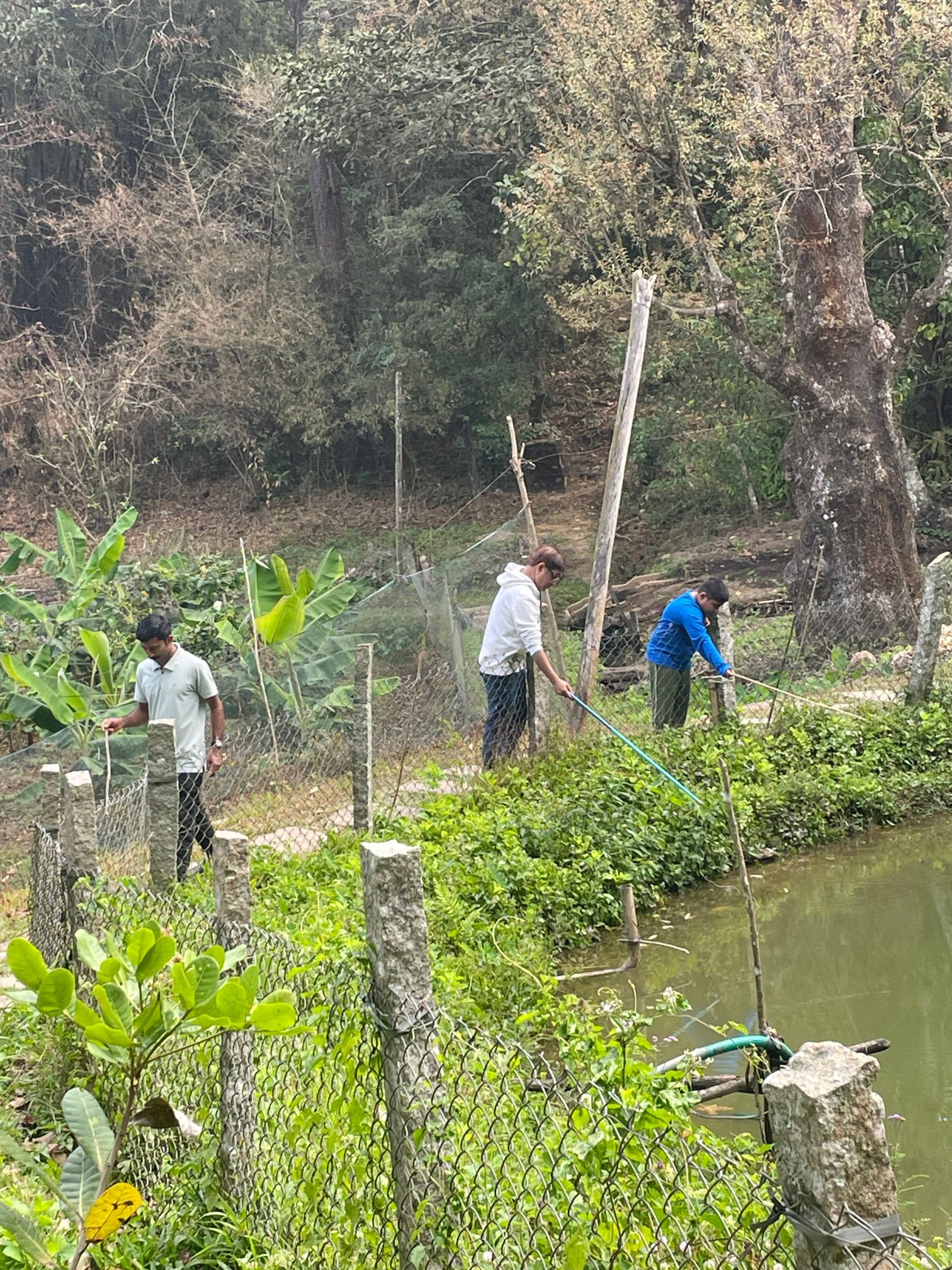 The Woods Resorts Wayanad-官方