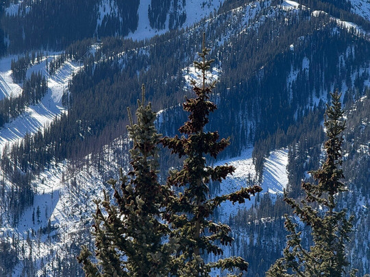 A.A. Taos Ski Valley Wilderness Adventures-Taos Ski Valley必去景点