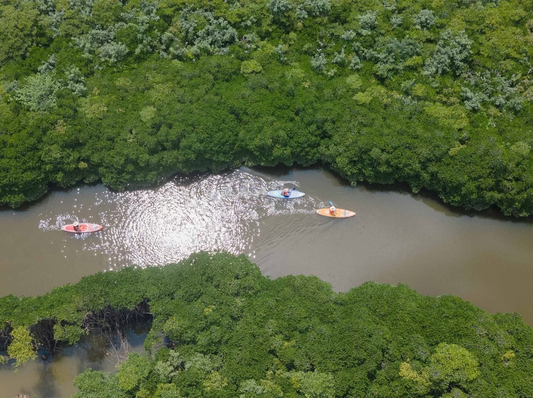 Thien Long Cave-卡巴必去景点