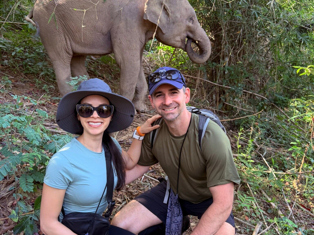 MandaLao Elephant Conservation-琅勃拉邦必去景点