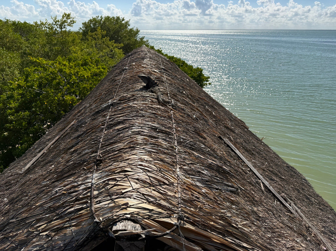 VivaOhlala-普拉亚德尔卡曼必去景点