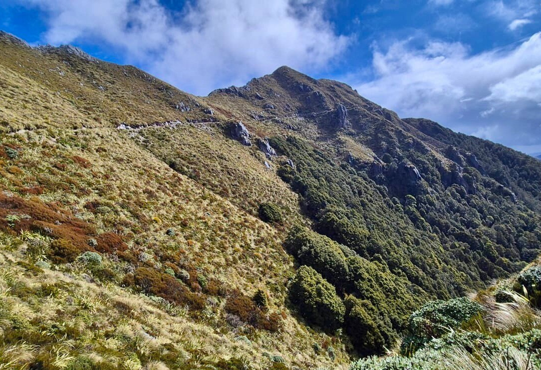 The Old Ghost Road-韦斯特波特必去景点