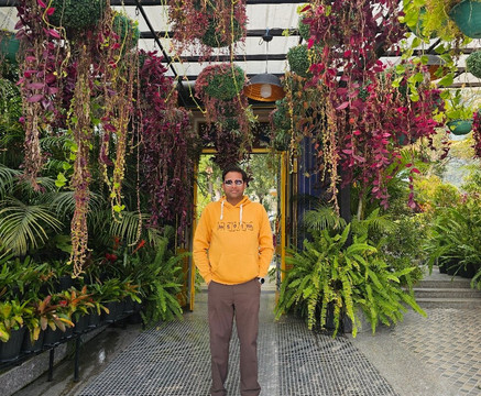 Mayfair Manor Jungpana