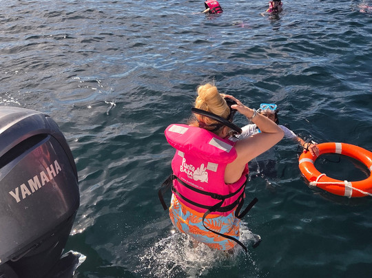 Punta Baja Tours-拉巴斯必去景点