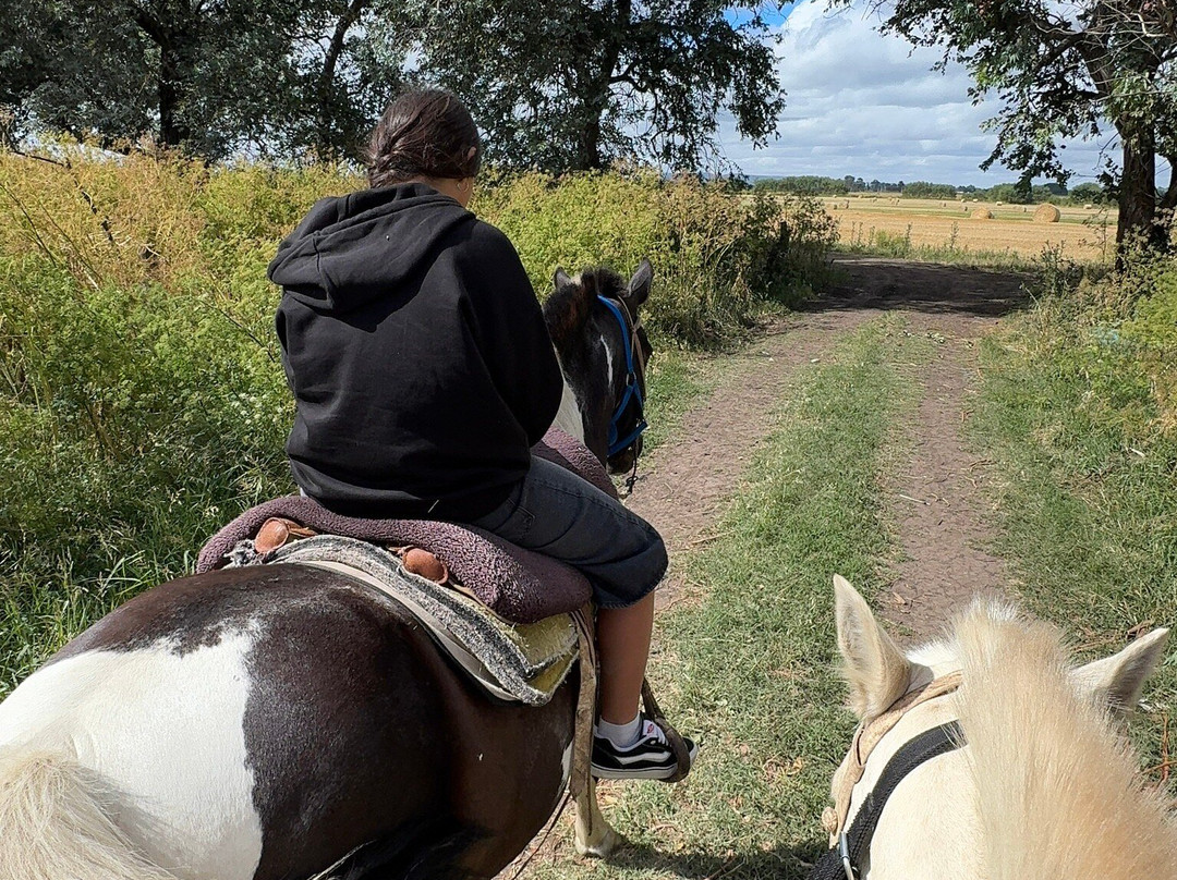 Raíces-坦迪尔必去景点