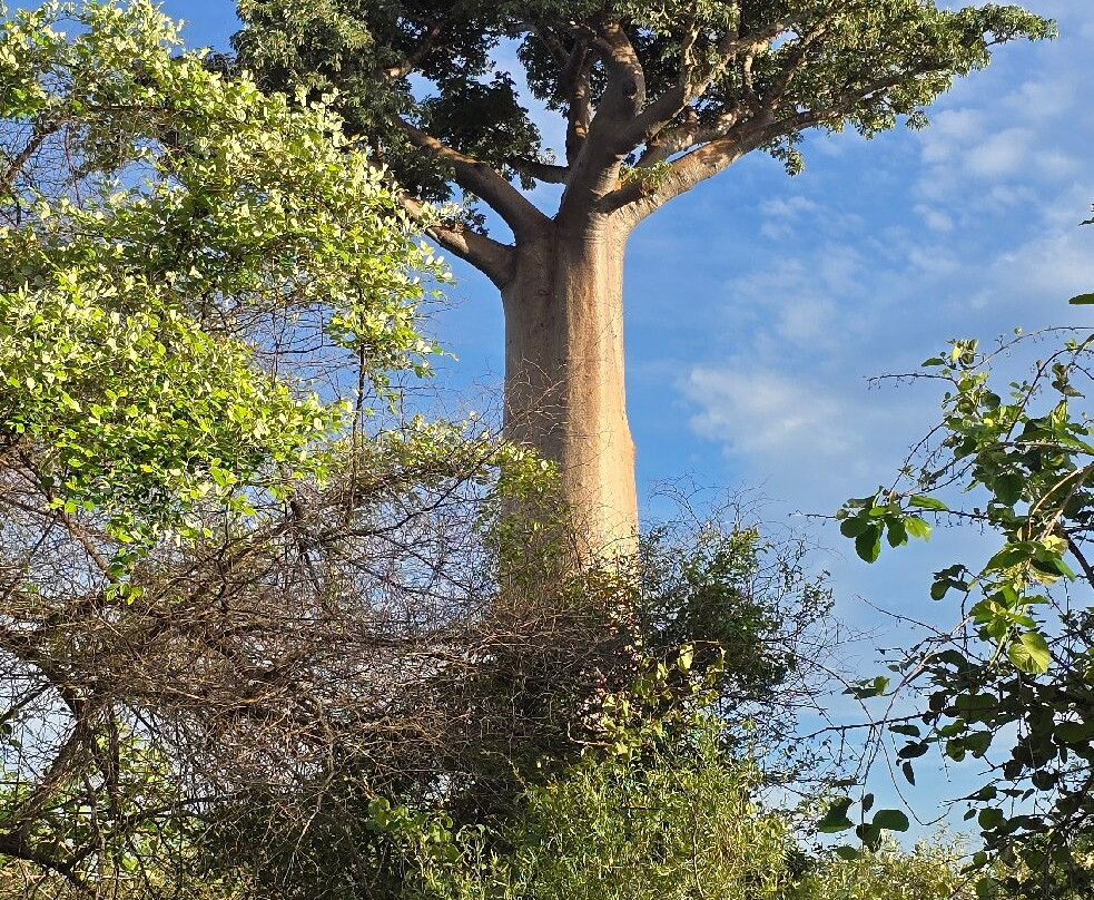 Soul of Madagascar Tours-Toamasina (Tamatave)必去景点