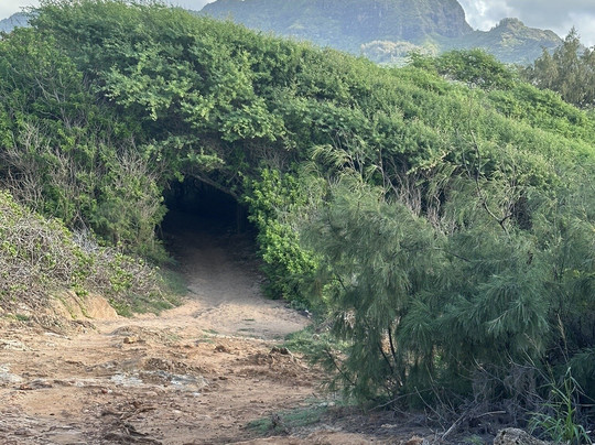 Maha'ulepu Heritage Trail-坡伊普必去景点