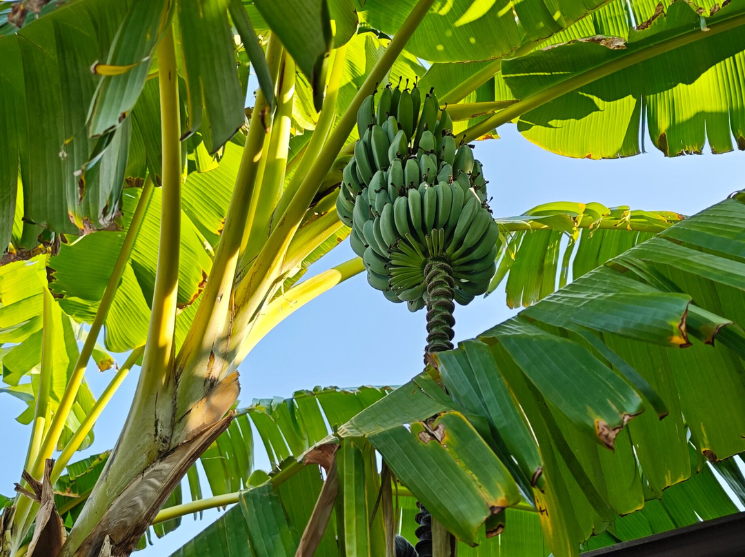 BN Hotel Thermal & Wellness主图