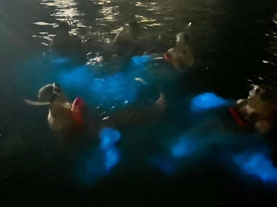 Next Level Charters Cayman-Camana Bay必去景点