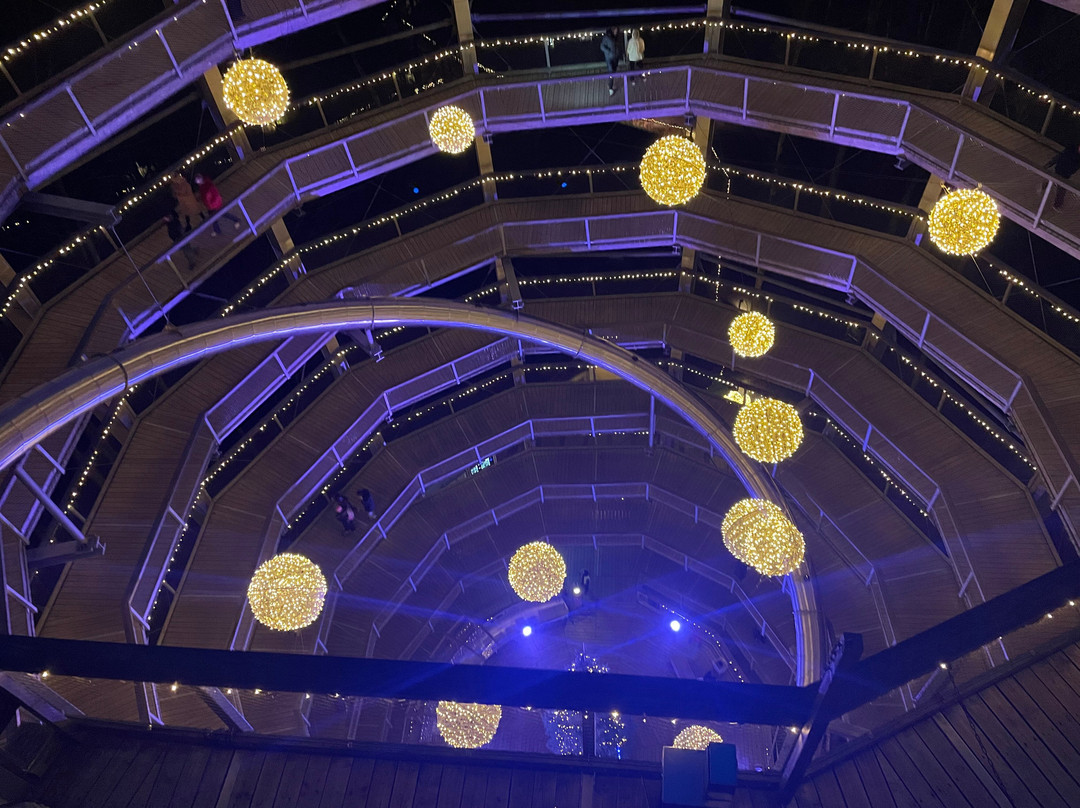 Treetop Walk Avondale