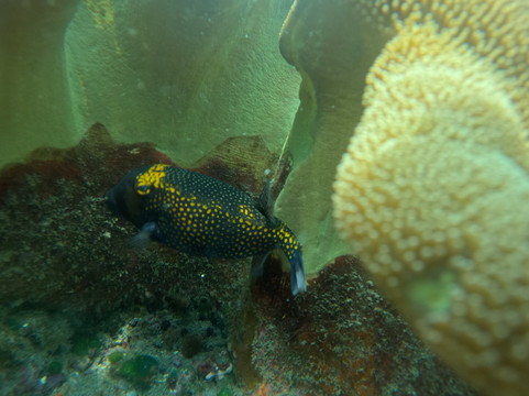 Bali Su Tours-登巴萨必去景点