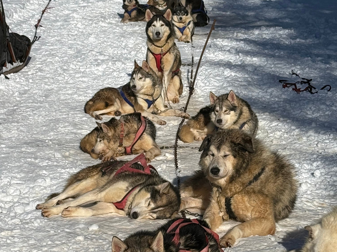 Huskydalen-霞慕尼必去景点
