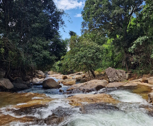 Knuckles Nature Tours-Teldeniya必去景点