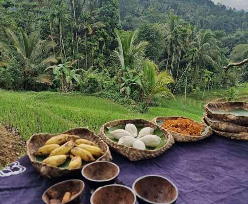 Knuckles Nature Tours-Teldeniya必去景点