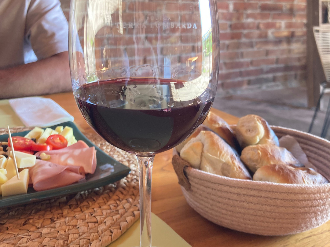 Bodega Terra Lombarda-圣拉斐尔必去景点