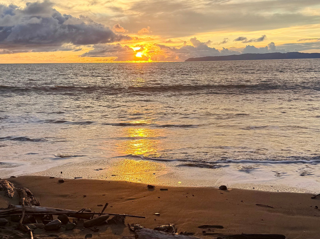 Surf Expedition-帕沃尼斯必去景点