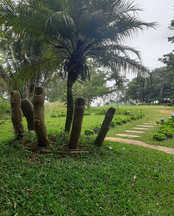 Urubu Ecoparque-Guaraciaba Do Norte必去景点