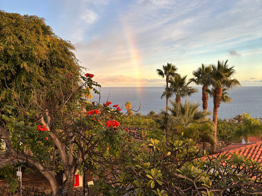 Hotel Jardin Tecina主图