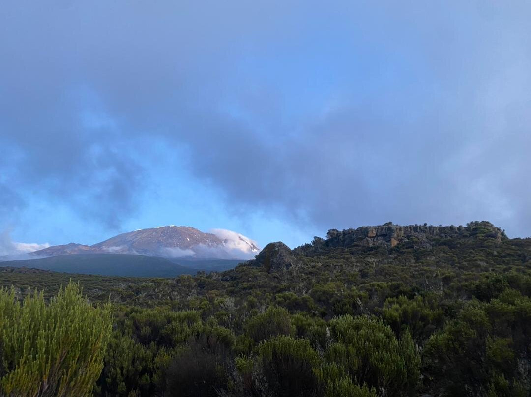 Sere adventure Safari-莫西必去景点