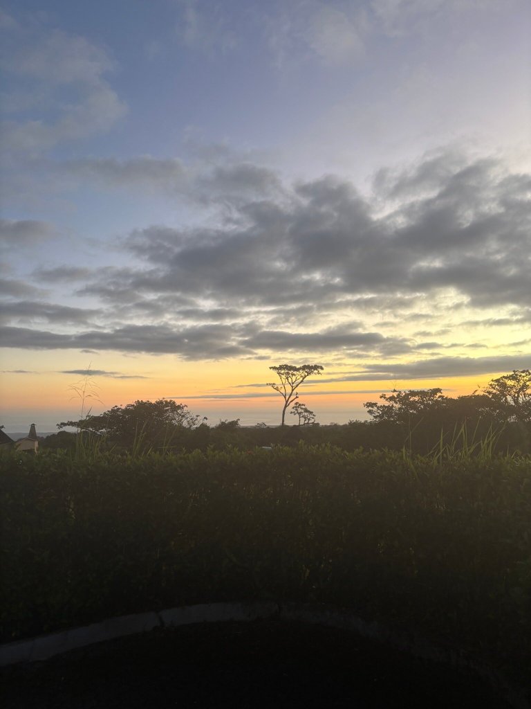 加拉帕戈斯皇家棕榈酒店-官方