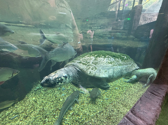 Oceanic Aquarium-康泊琉海水浴场必去景点