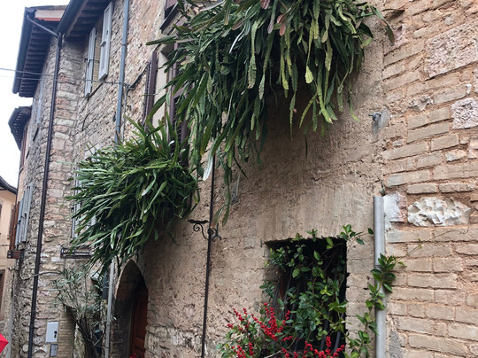 Centro Storico-Spello必去景点