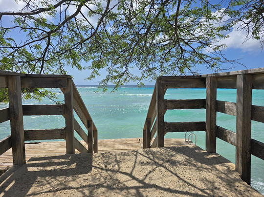 Nautilus Diving & Snorkeling Tours Aruba