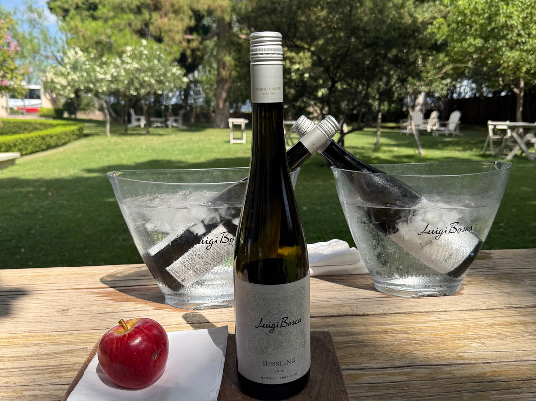 Finca El Paraíso - Bodega Luigi Bosca-Maipu必去景点