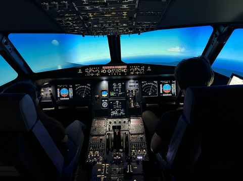 AviaSim Lyon-Villeurbanne必去景点