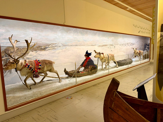 特罗姆瑟博物馆-特罗姆瑟必去景点