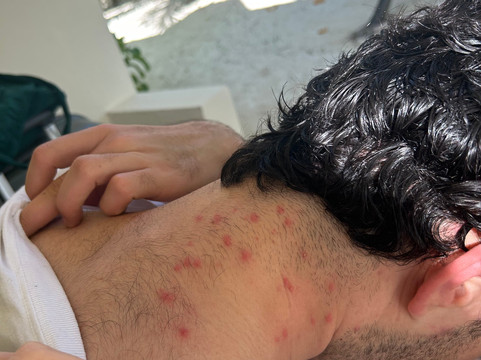 Hotel Cielo y Selva主图