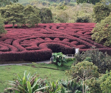 Laberinto Mil Caminos-Quimbaya必去景点