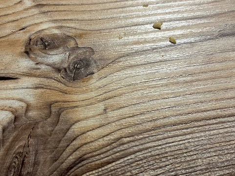 Seenland SPA Streudorf-Gunzenhausen必去景点