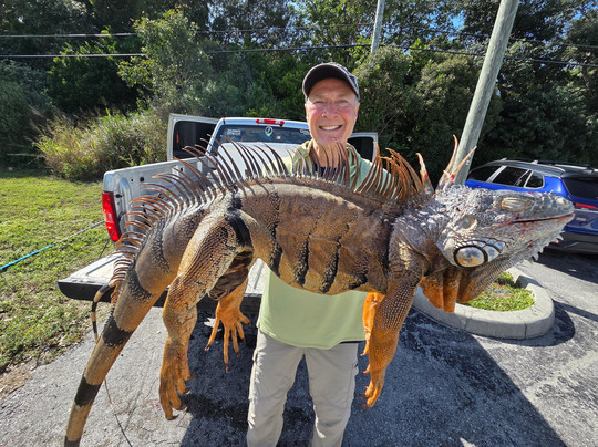 Invasive EnVogue-Ramrod Key必去景点