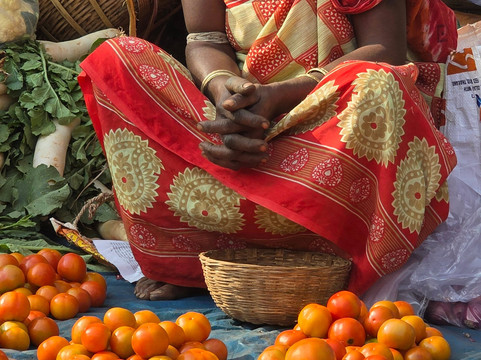 SINGH VOYAGE-焦特布尔必去景点