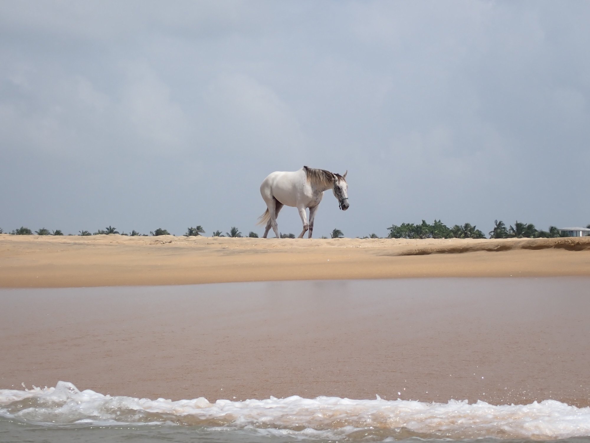 元素水上运动与自然度假村-泳池