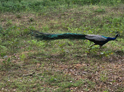 TrustGo Travels-埃勒必去景点