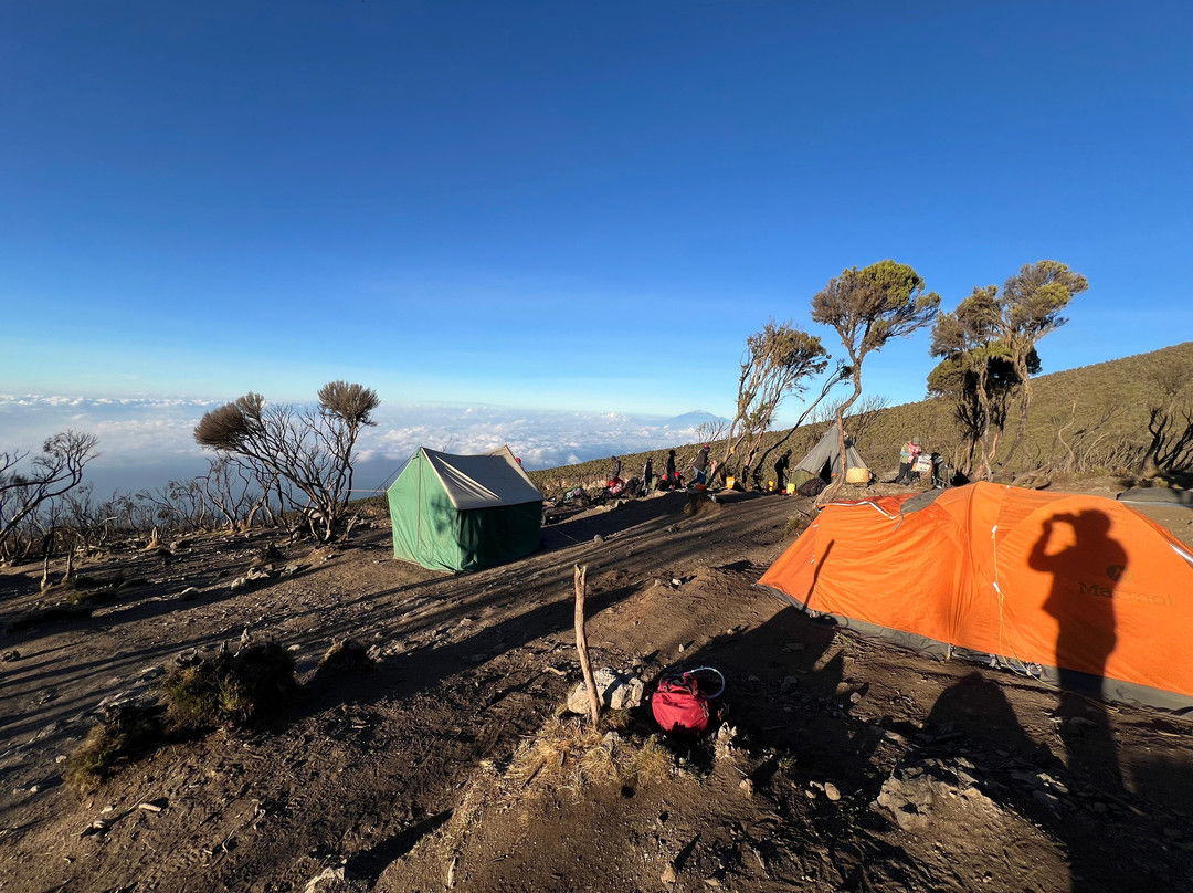 Kili Treks Tanzania-莫西必去景点