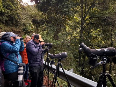 Lauraceas Lodge-官方