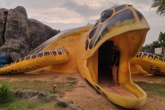 SS Lanka Tours-凯拉尼亚必去景点