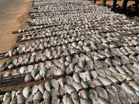 Vietnam Original Travel-胡志明市必去景点