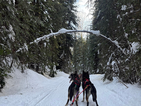 Mountain Man Adventure Tours-太阳峰必去景点