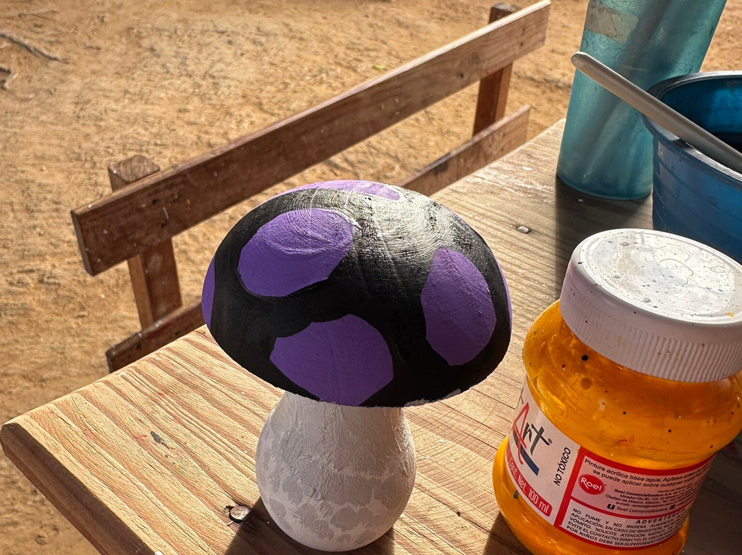 Wanderlust Oaxaca-瓦哈卡必去景点