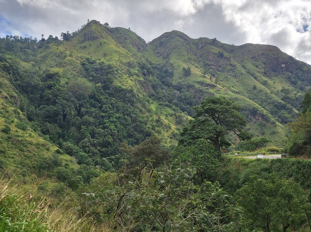 奥林巴斯广场酒店主图