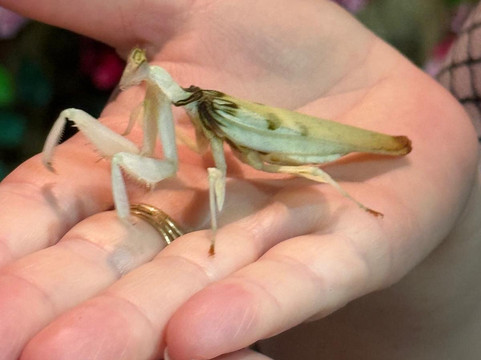 蟲鳴大地-巴巷海滩必去景点