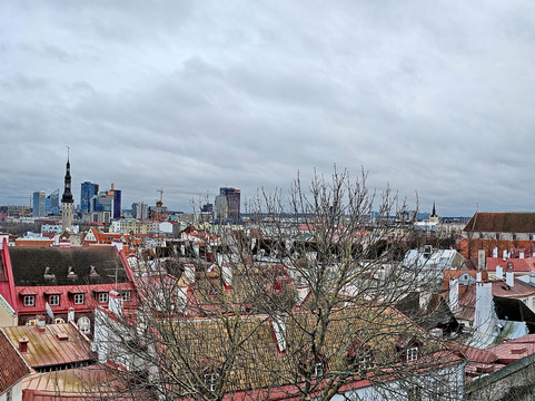Viewing Point Kohtuotsa-塔林必去景点