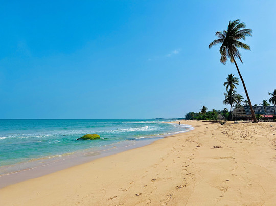 Nvl's Tours-科伦坡必去景点