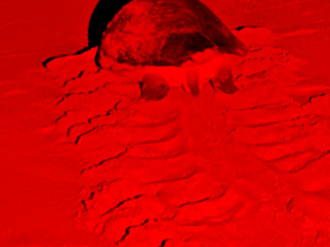 Turtle Watch Rekawa-唐卡拉必去景点